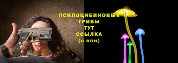 стафф Алзамай