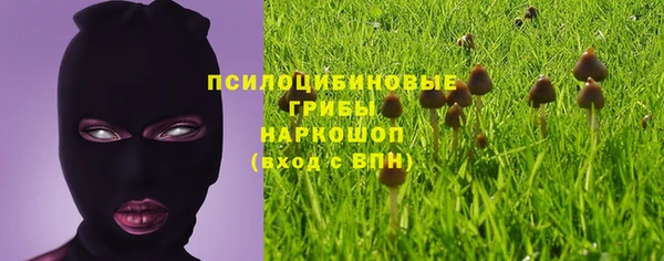 PSILOCYBIN Абинск