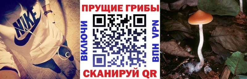 как найти закладки гидра tor Галлюциногенные грибы Magic Shrooms Ступино